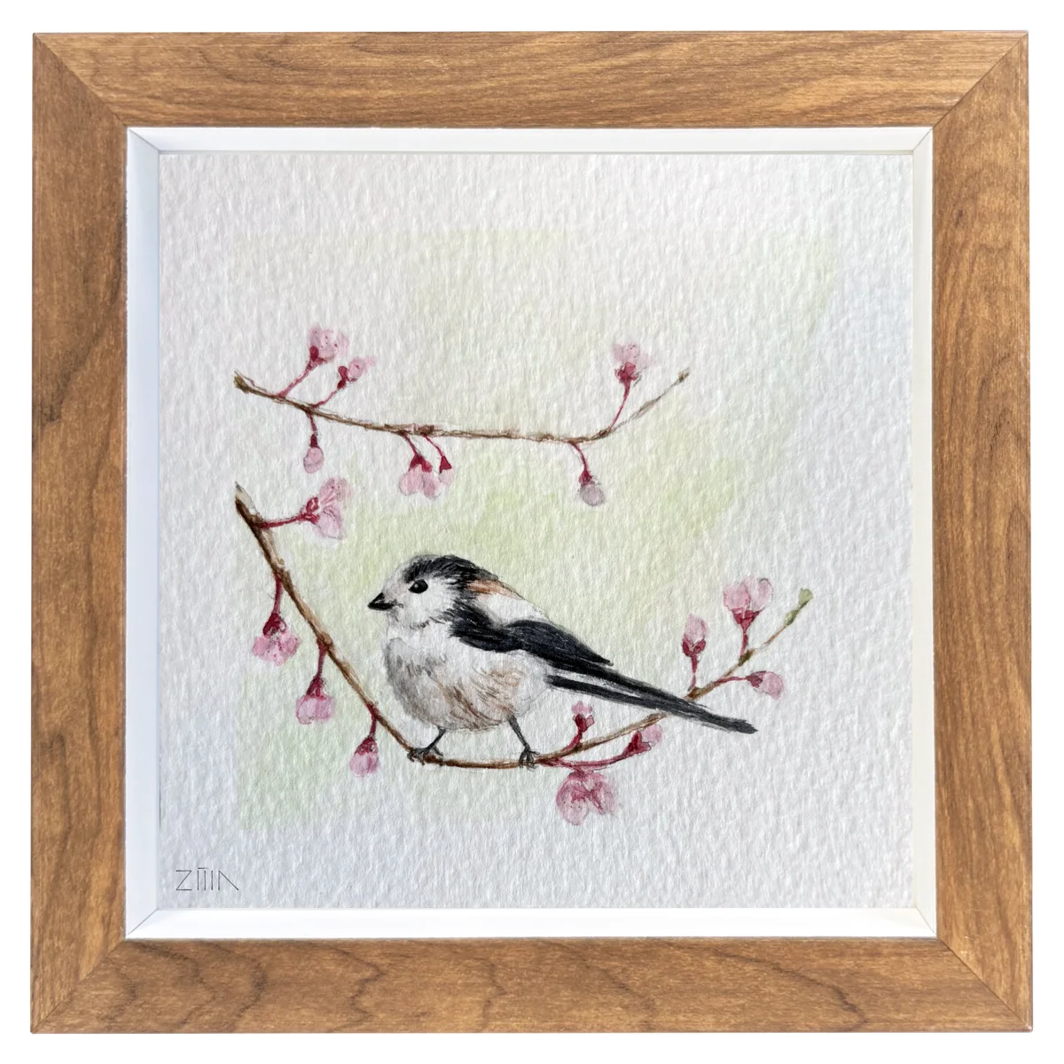 Long-tailed tit watercolour painting of a small bird perched on a pink blossom branch, signed by Zilla Schoeman